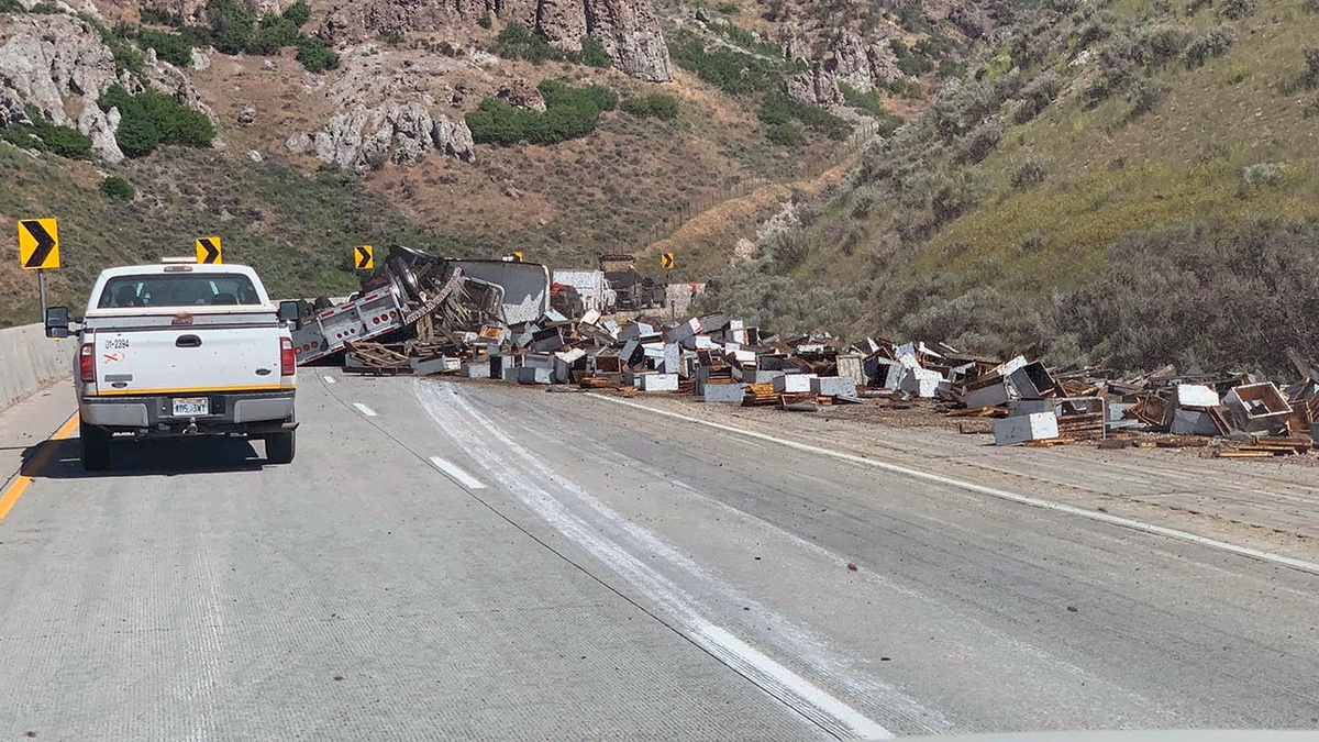 Millions of bees attack people after beehive truck crashes – Autoua.net